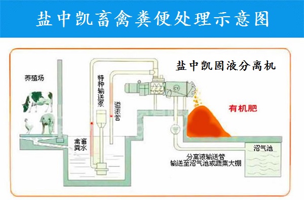 蘑菇视频30禁黄网站