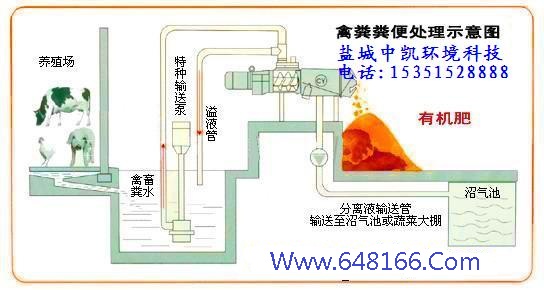 蘑菇视频黄色网站示意圖